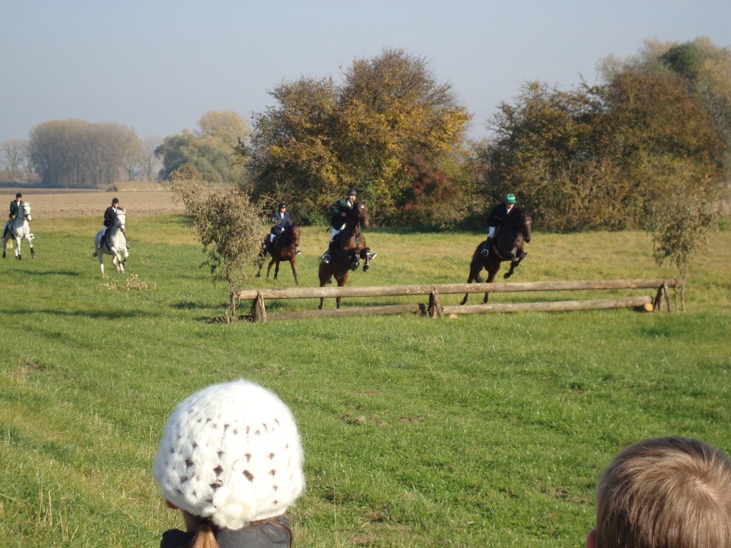 DSC05114.JPG